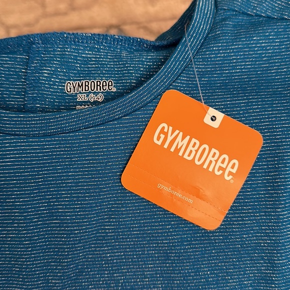 Gymboree Long sleeved top blue and silver threads sz 14 BNWT - Picture 2 of 7